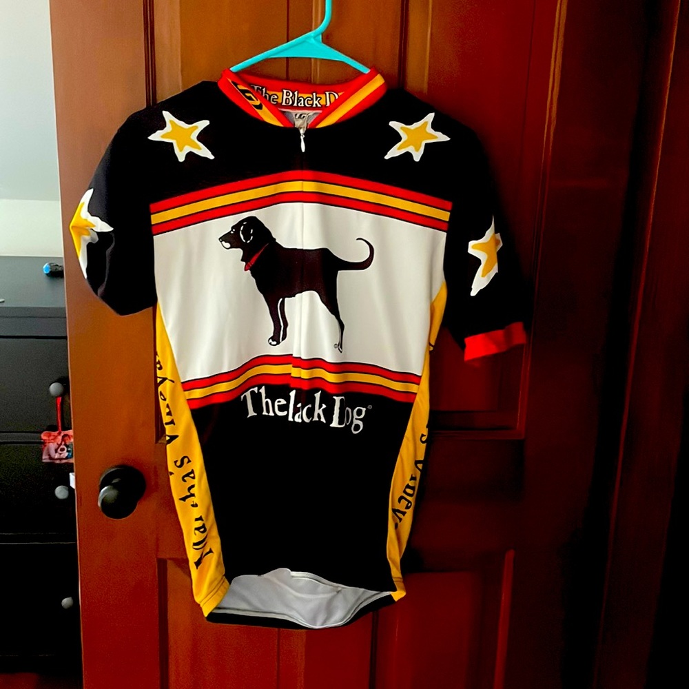 Men’s Cycling shirt. Size large, but runs a little small. Excellent condition
